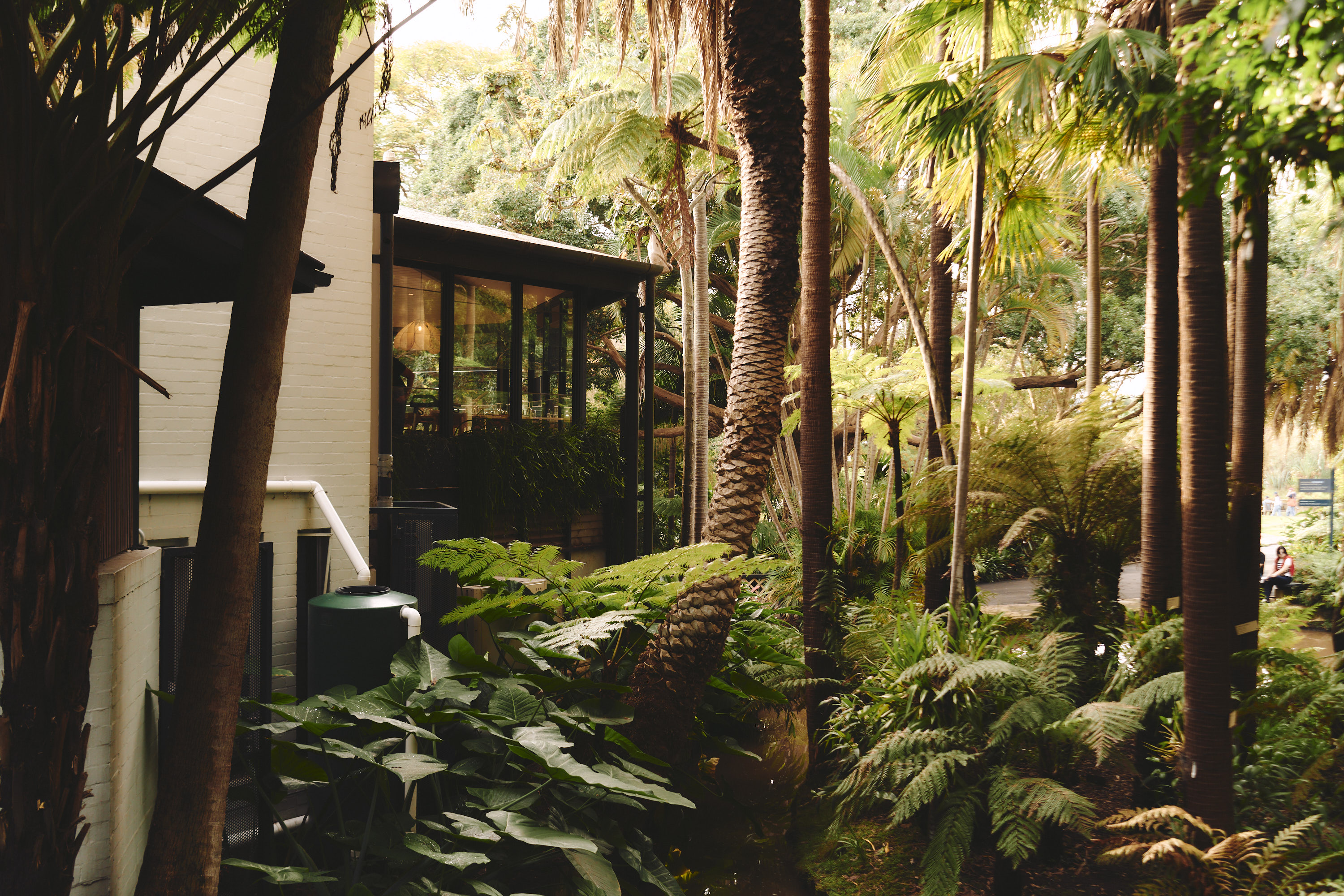 Welcome to Botanic House